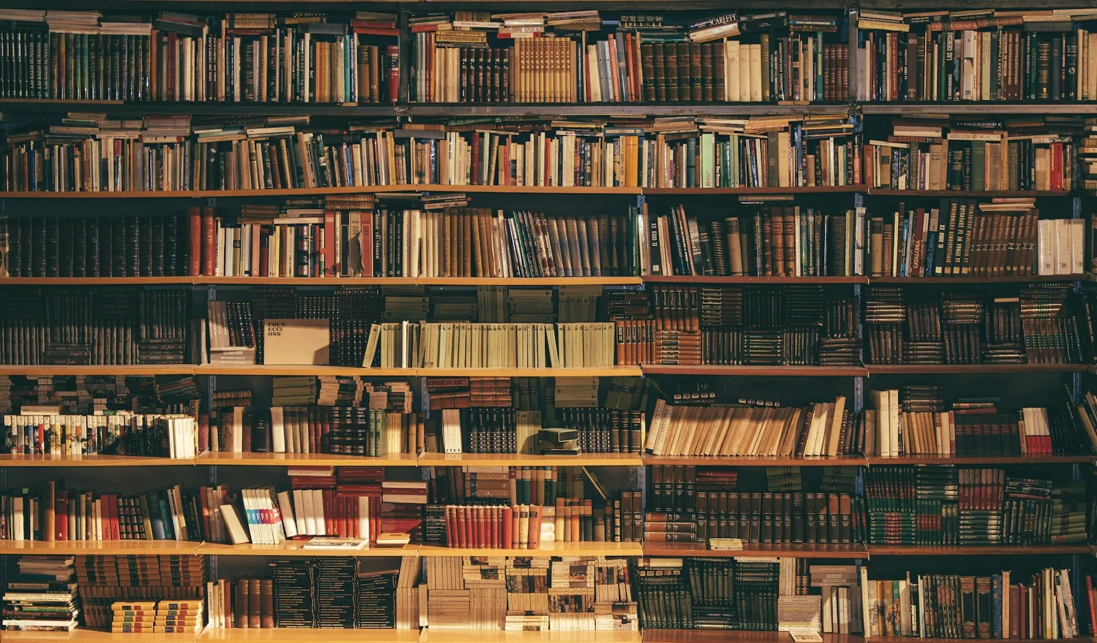 Tall shelves of books in a library