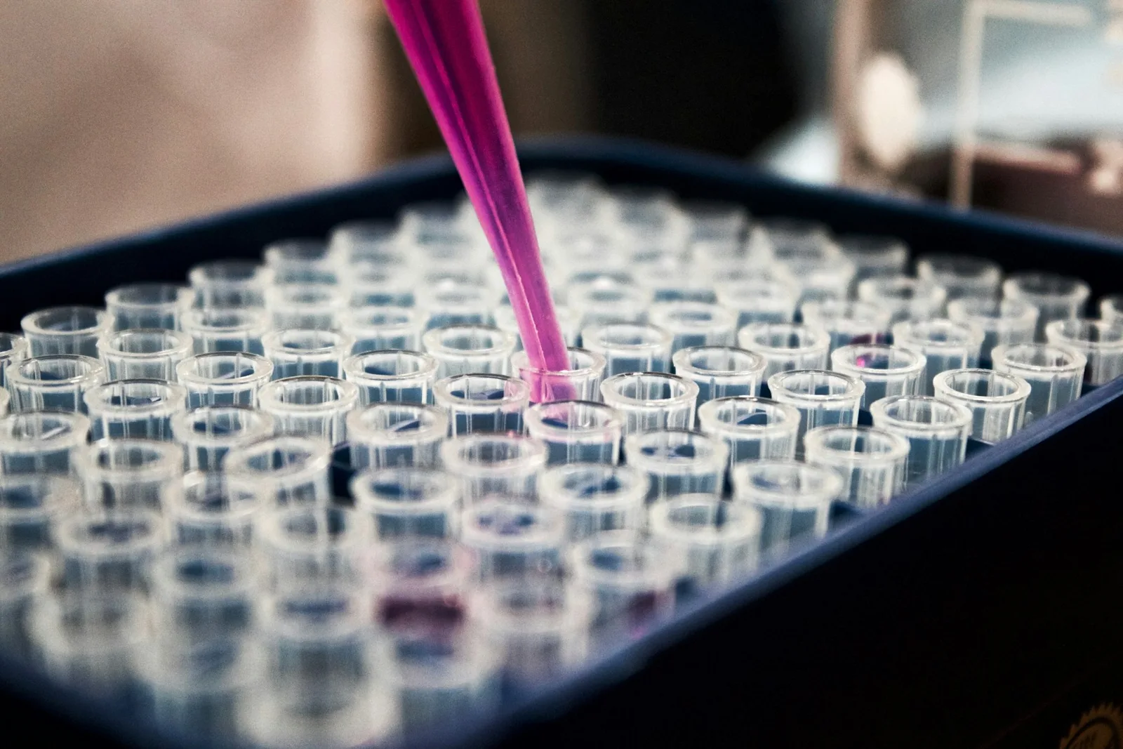 A pipette above an array of laboratory sample tubes